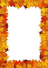 Leaf frame