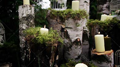 Beautiful wedding decor with candles, birch logs