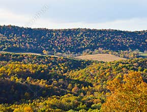 WV Nature's Autumn Colors