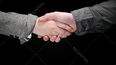 Business Greeting Handshake 3