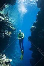 Scuba Diver Underwater