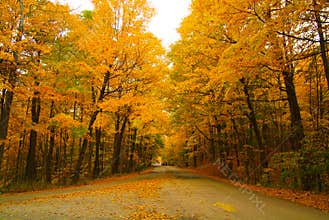 The road into the Fall