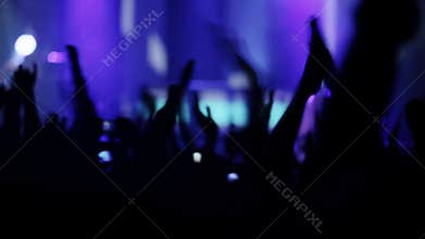 People at rock concert.