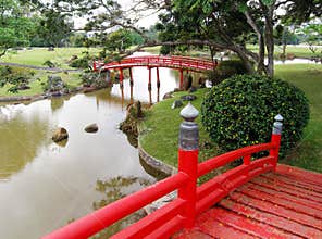 Japanese garden landscaping