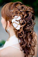 Bridal hairstyle