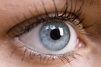 Beautiful Blue Eye