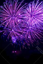 Purple fireworks