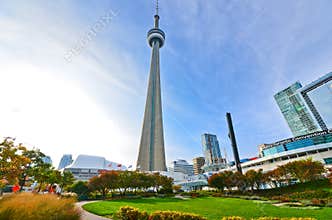 View of CN Tower from a park in Toronto