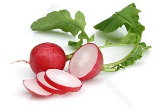 Fresh red radish