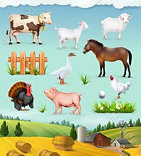 Farm, animals and birds