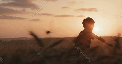 Young boy with a superhero cape stand in a golden wheat field during sunset