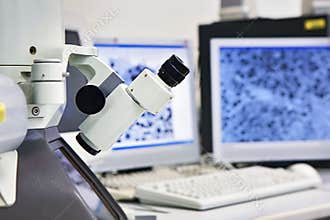 Microscope