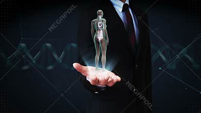 Businessman open palm, Rotating Female Human the internal organs, heart system, Blue X-ray light.