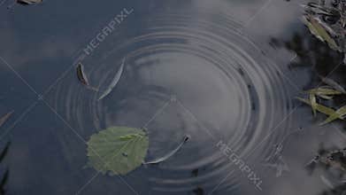 Spring Drops. Slow Motion at a rate of 250 fps.