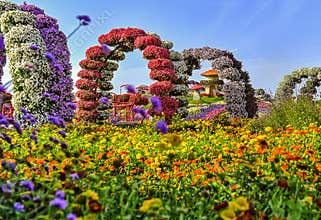 Blooming flower arches