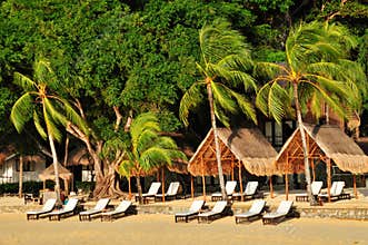 Exotic Luxury Beach