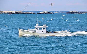 White Boat Sailing in the Ocean