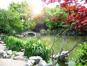 Nature park scenery, Hangzhou