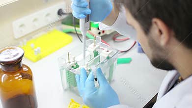 Laboratory workplace for DNA test