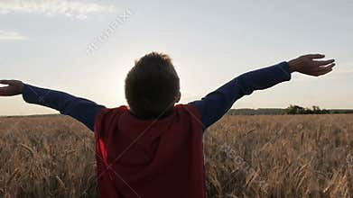 Boy with a superman cape stands in a golden fields