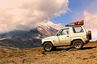 Happy Jack Russell Terrier Dog Travels In A Jeep