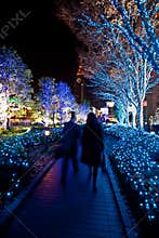 Christmas lighting landscaping
