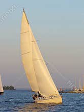 Annapolis Harbour Sailing