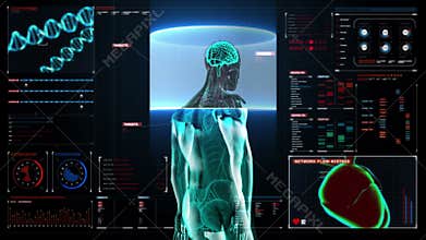 Scanning Brain in male body in digital display dashboard. X-ray view