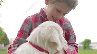 Child stroking and hugging his pet animal friend. Little boy playing with his dog in the park.
