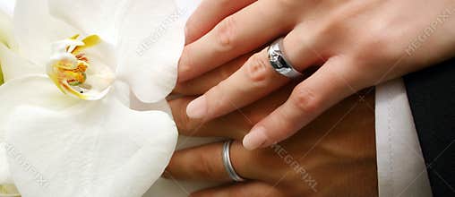 Bridal couple's hands