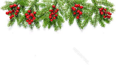 Christmas tree branches Holidays decoration banner