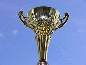 Cup