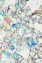Citric acid crystals macro