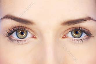 Beauty Eyes