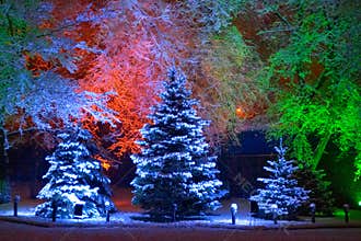 Magic Christmas tree