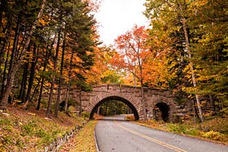 Beautiful fall colors of Acadia National Park in Maine