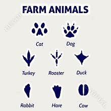 Farm animals footprint stickers