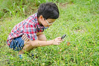 Boy using magnifying glass to observing butterfly