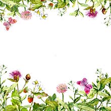 Spring, summer garden: flowers, grass, herbs, butterflies. Floral pattern. Watercolor