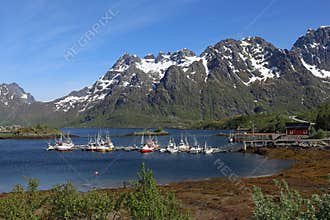 Fishing ships in Sildpollen, Lofoten