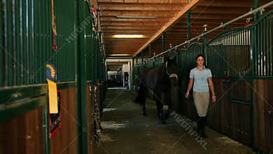 Slide in on big stall with lots of horses, woman taking horse out
