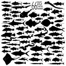 Detailed Vectoral Fish Silhouettes