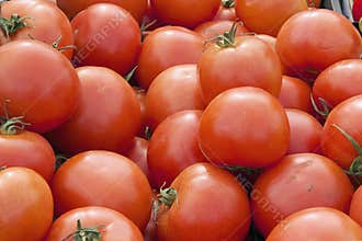 Red tomatoes