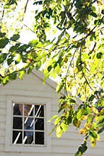 Colonial house window in fall
