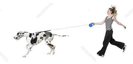 Young girl walking his dog (Great dane 4 years) ha