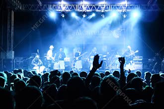 Happy crowd at concert