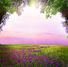 Fantasy background . Magic forest.