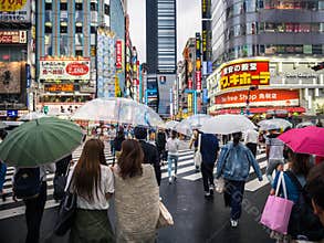 Crowds at Crossing in Japan