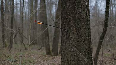 Man firing arrow into tree in forest