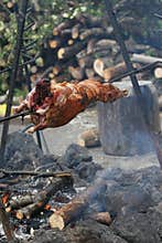 Spit roasting